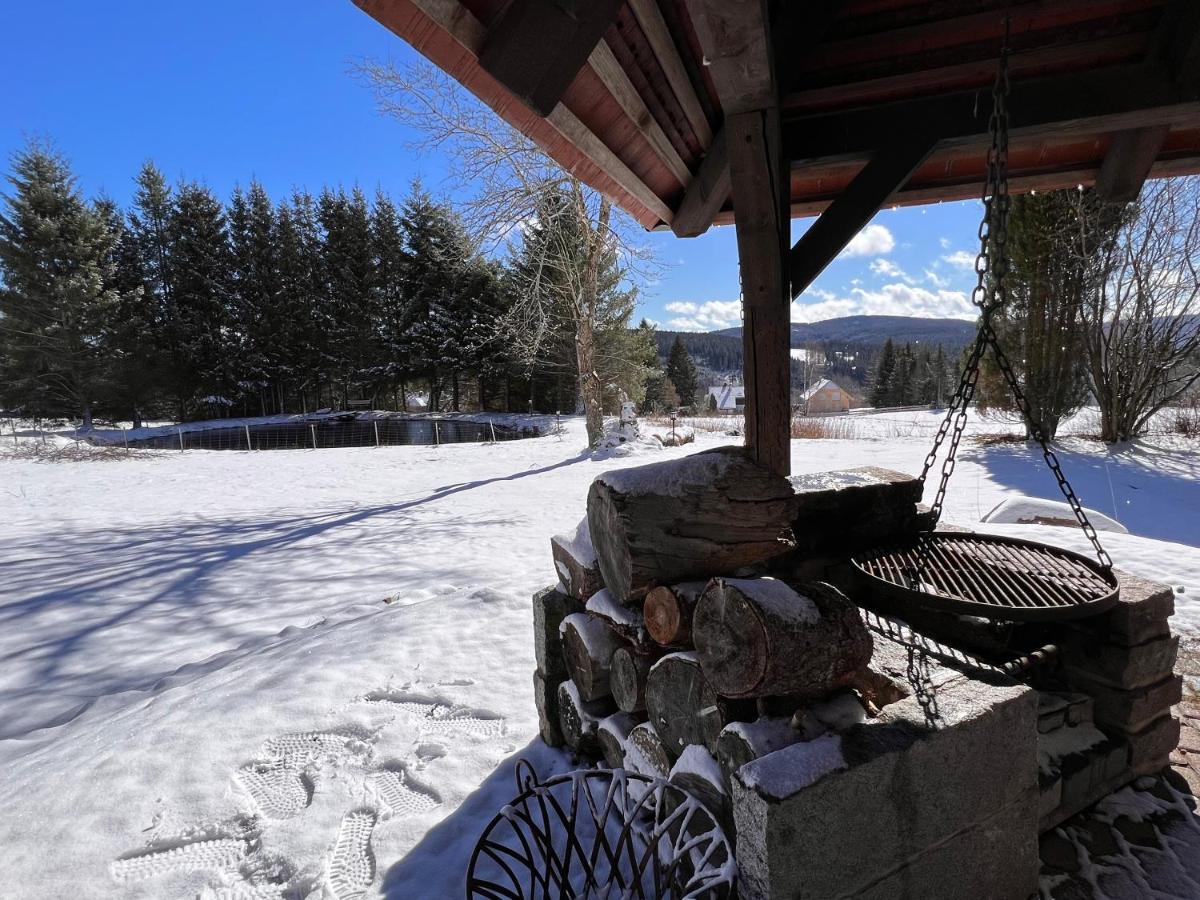 Ferienwohnung Im Hubertushof Feldberg  Eksteriør billede